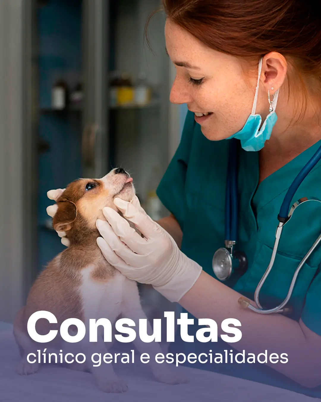 consultas