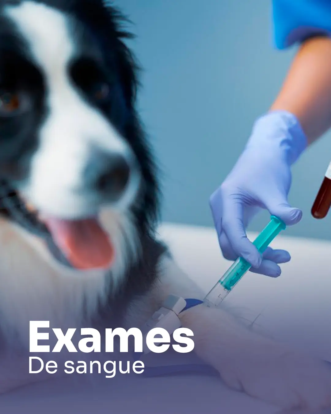 exames-de-sangue