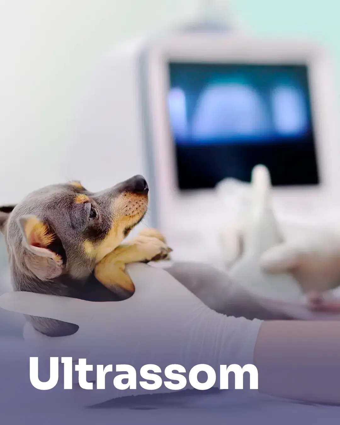 ultrassom